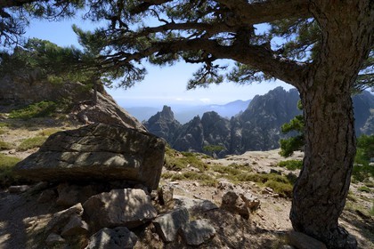 France, Corse du Sud, Alta Rocca, massif of Bavella, headland of Punta Velacu overlooking the steep Aragale ravine