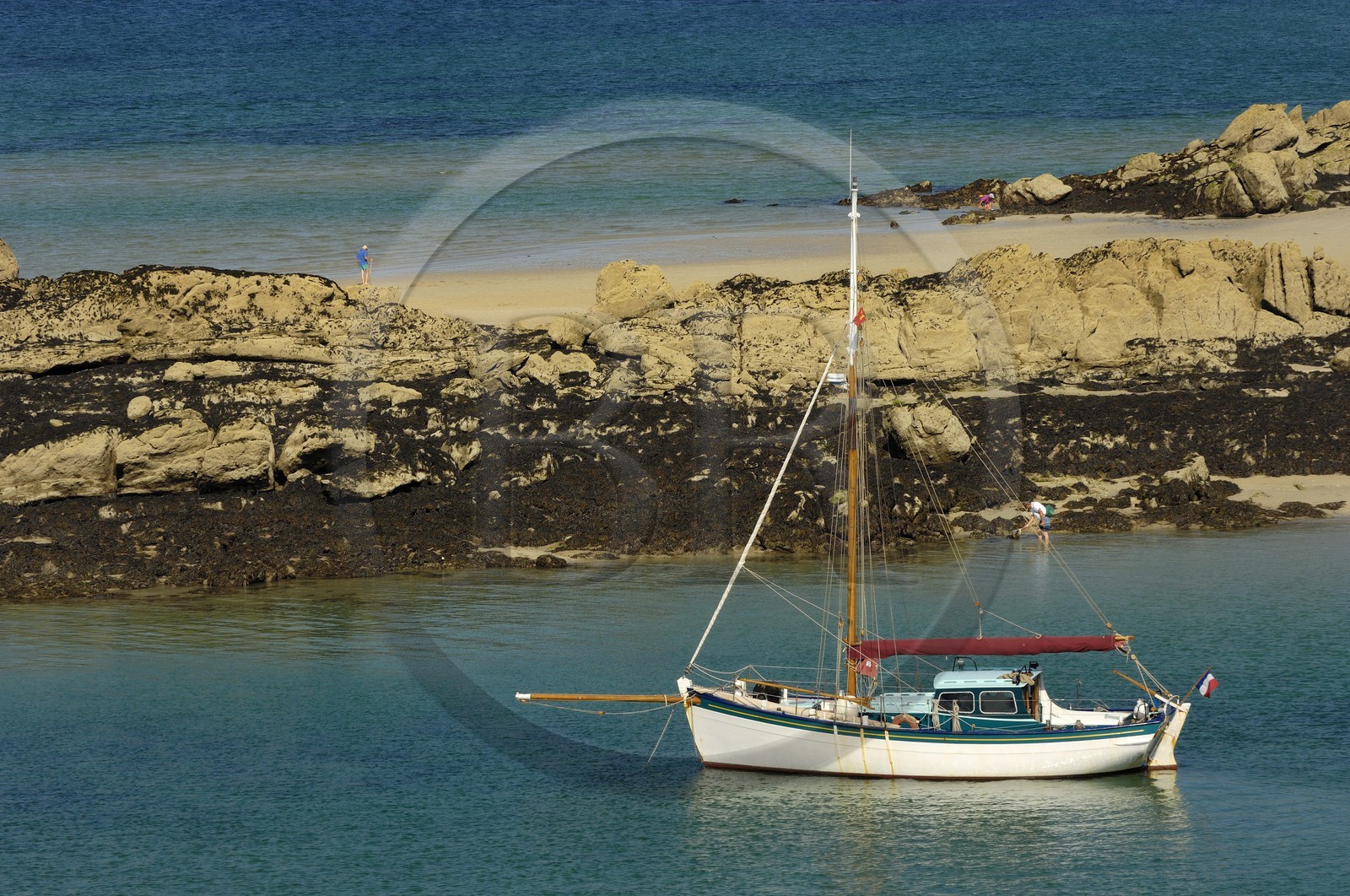 France, Manche (50), archipel des îles Chausey, le Courrier des Iles dessiné par le peintre de la marine Marin Marie