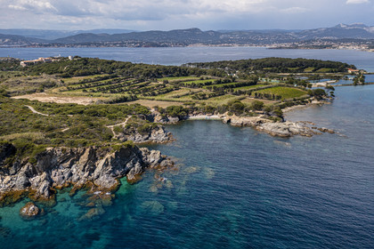 France, Var, Six Fours les Plages, Ile des Embiez, Coucoussa beach in the foreground and vineyard (aerial view)
