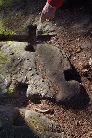 France, Bas-Rhin (67), Mont Saint-Odile, le Mur Païen, vestige d'un mur d'enceinte probablement de l'époque mérovingienne d'une longueur totale de onze kilomètres, construction en appareil cyclopéen aux blocs liés par des tenons en bois à double queue d'aronde