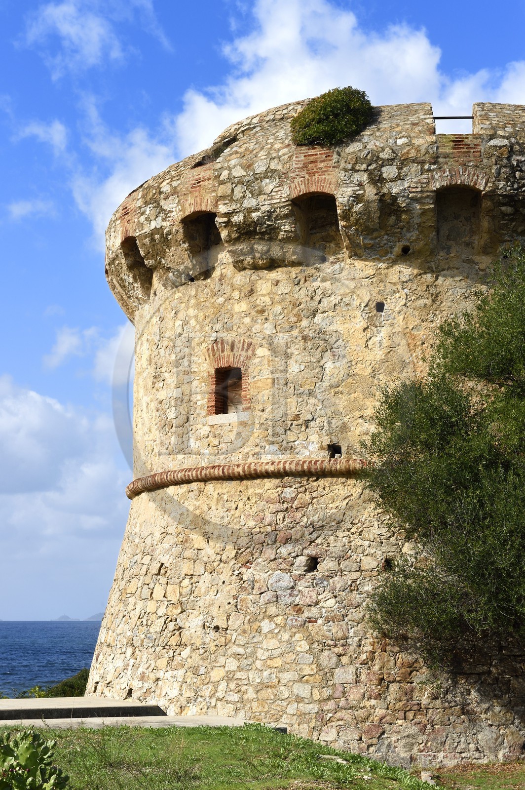 France, Corse-du-Sud (2A), Golfe d'Ajaccio, tour de Capitello, pres de la plage du Ricanto
