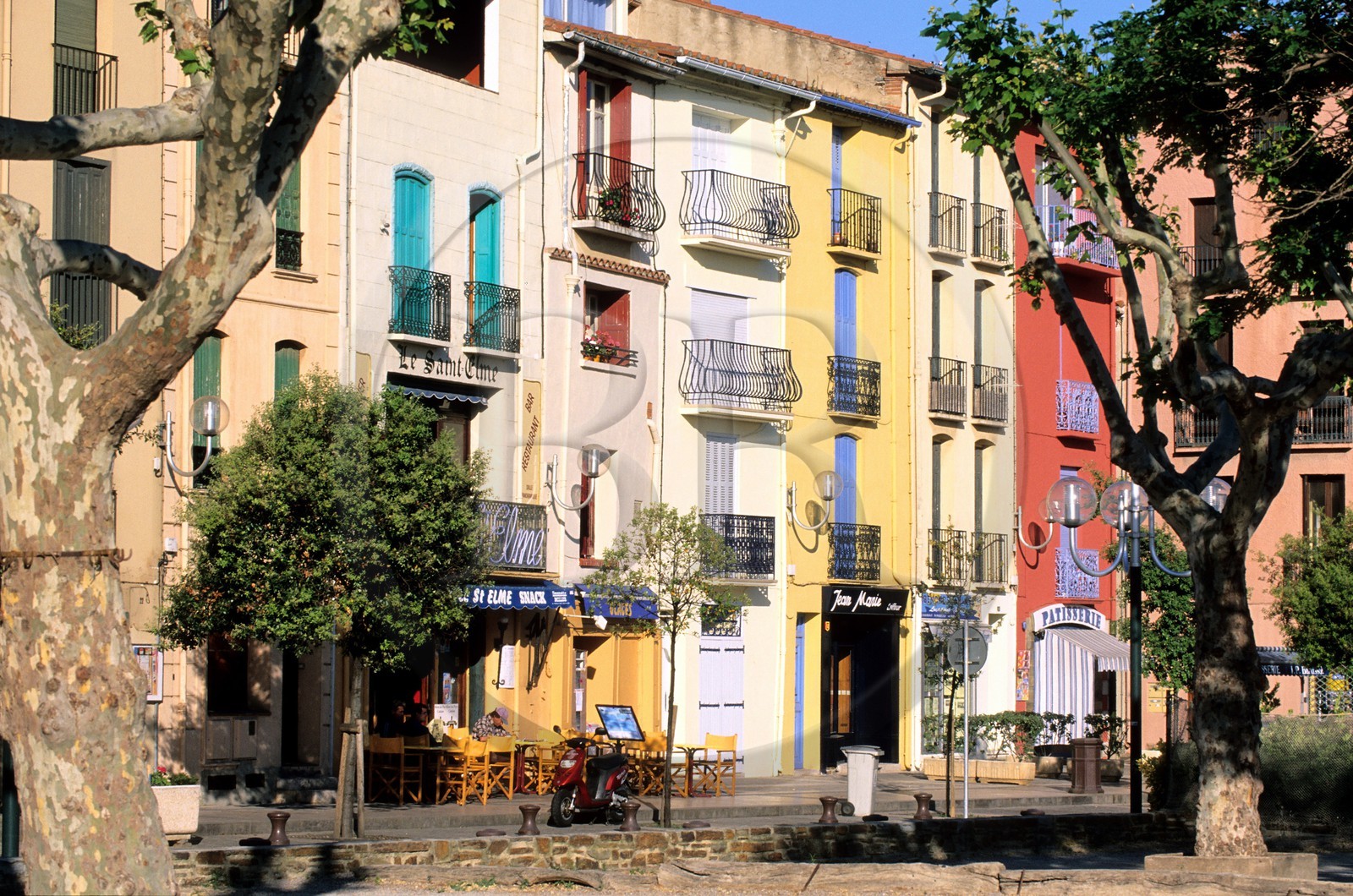 France, Pyrénées-Orientales (66), Collioure, café sur le front de mer