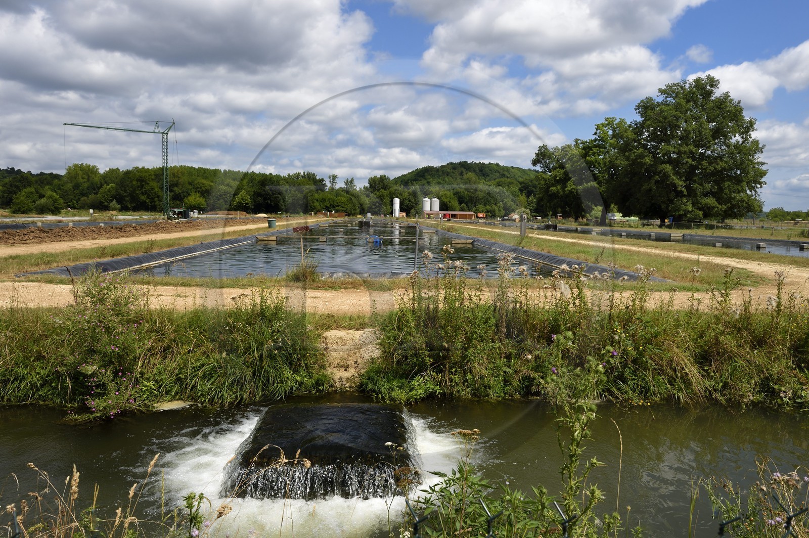 France, Dordogne, Perigord Blanc, Neuvic sur l'Isle, Domaine Huso, production company of the Caviar de Neuvic, sturgeon basins