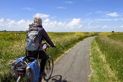 France, Charente-Maritime (17), Rochefort, cyclistes sur la véloroute La Flow Vélo dans les zones inondables de l'estuaire de la Charente