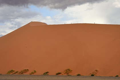 Namibie, région d'Hardap, désert du Namib, parc national du Namib-Naukluft, Erg du Namib classé Patrimoine Mondial de l'UNESCO, dunes de Sossusvlei, randonneurs sur la dune 45