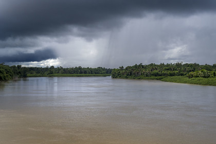France, French Guiana, Mana , the banks of the Mana River