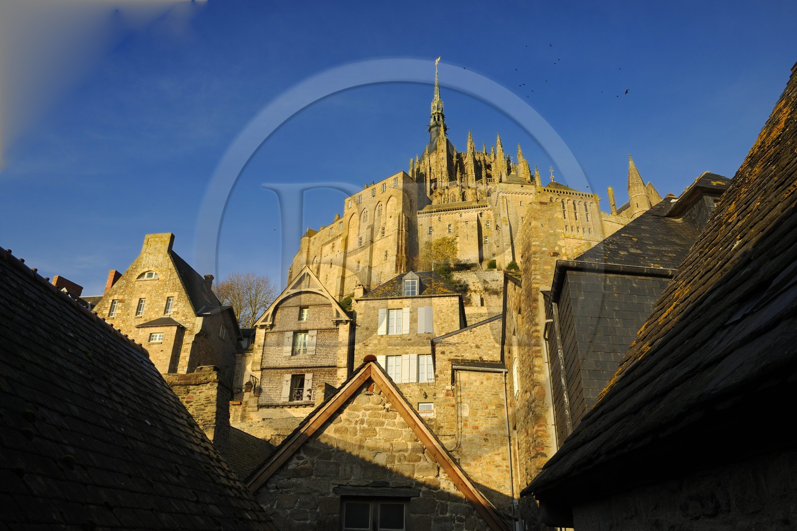 France, Manche (50), Mont-Saint-Michel, classé Patrimoine Mondial de l'UNESCO, l'abbaye surplombant les toits du village