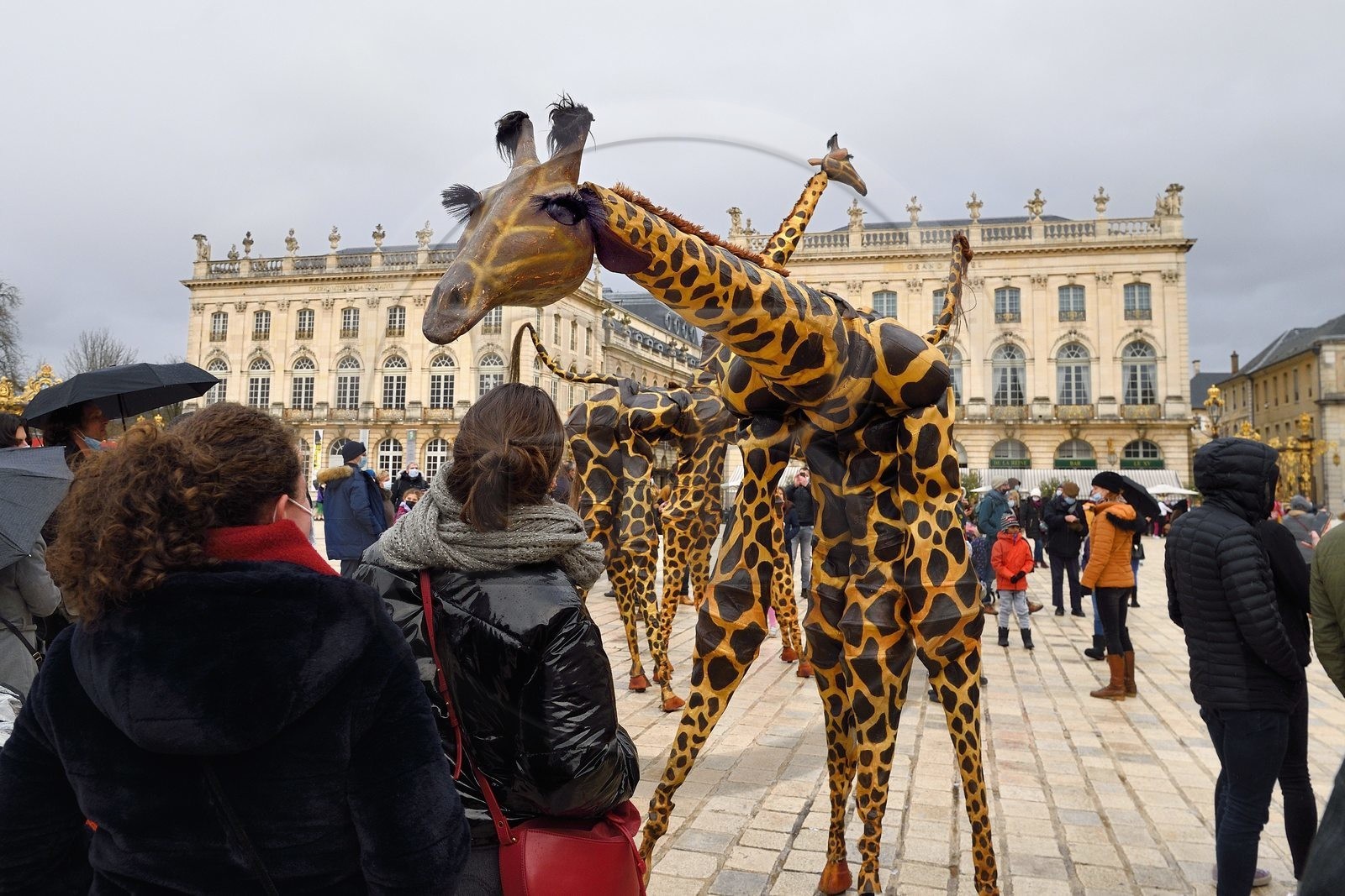 France, Meurthe-et-Moselle (54), Nancy, place Stanislas (ancienne Place Royale) lors de la fête de la Saint-Nicolas, classée Patrimoine Mondial de l'UNESCO, girafes de la compagnie Teatro Pavana