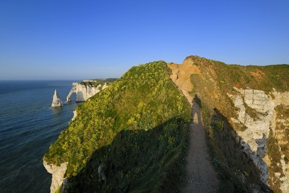 France, Seine-Maritime (76), Pays de Caux, Côte d'Albâtre, Etretat, la falaise d'Aval et l'Aiguille Creuse