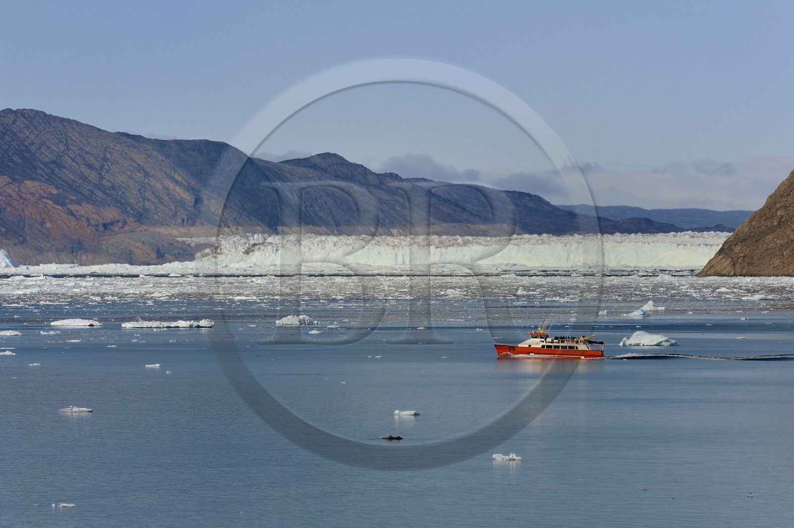 Groenland, cote ouest, baie de Disko, baie de Quervain, le glacier Kangilerngata sermia voisin du glacier Eqip Sermia (glacier Eqi)