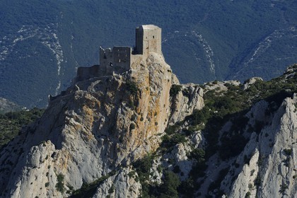 France, Aude (11), Pays Cathare, le château de Quéribus (vue aérienne)