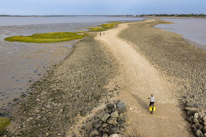 France, Charente Maritime, Port-des-Barques, cyclist on a hike,  the tombolo of Passe aux Boeufs which connects Ile Madame to the continent (aerial view)