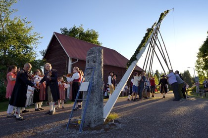 Sweden, Dalarna County, Leksand area, Midsummer celebrations in the tiny hamlet of Hjulbäck, uprising the maypole
