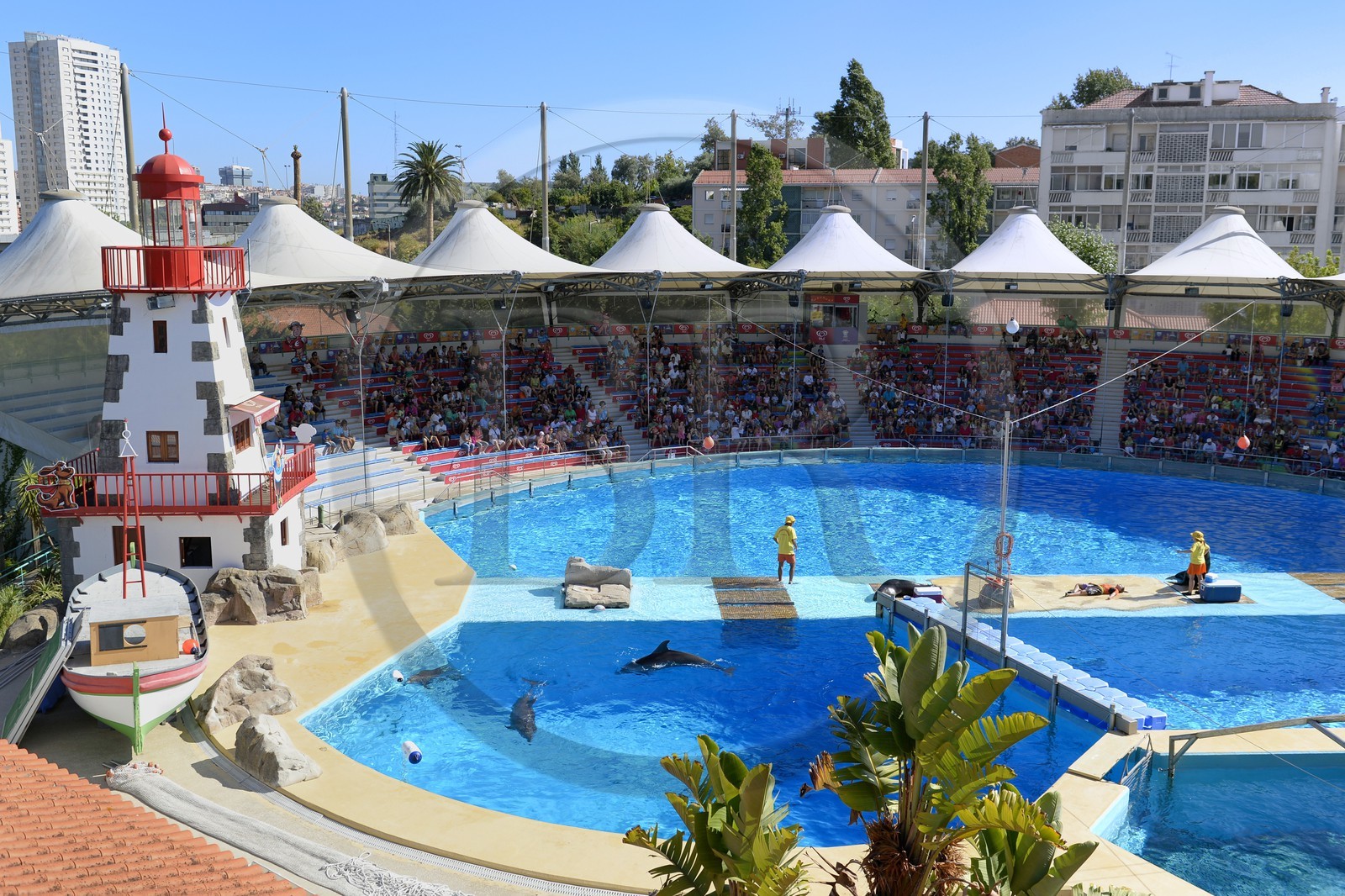 Portugal, Lisbonne, Jardin zoologique, le delphinarium Portugal, Lisbonne, Jardin zoologique, le delphinarium