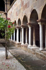 France, Var (83), Fréjus, la cathédrale Saint Léonce (XVIe siècle), cloitre canonial roman du XIIe siècle