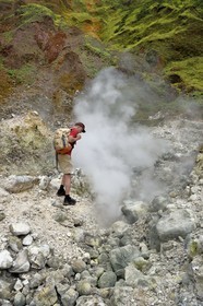 Caraïbes, Ile de la Dominique, Castle Bruce, Parc national du Morne Trois Pitons classé Patrimoine Mondial de l'UNESCO, la Vallée de la Désolation avec fumerolles et sources d'eau chaude, randonnée sur le sentier menant au Boiling Lake