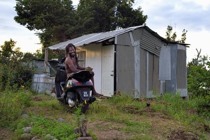Caribbean, Dominica Island, hamlet of Syndicate above Dublanc, the rasta Celius