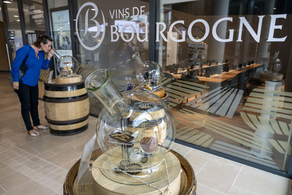 France, Cote d'Or, Dijon, area listed as World Heritage by UNESCO, International Cité of Gastronomy and Wine by architect Anthony Béchu, interactive museum of gastronomy