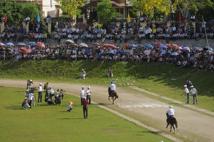 Vietnam, province de Lao Cai, Bac Ha, course annuelle de chevaux
