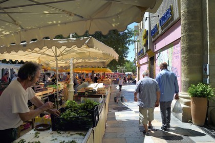 France, Var (83), Toulon, le marché du Cours Lafayette