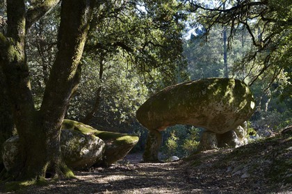 France, Corse du Sud, Alta Rocca, chaos of Paccionitoli south of Zonza, dolmen