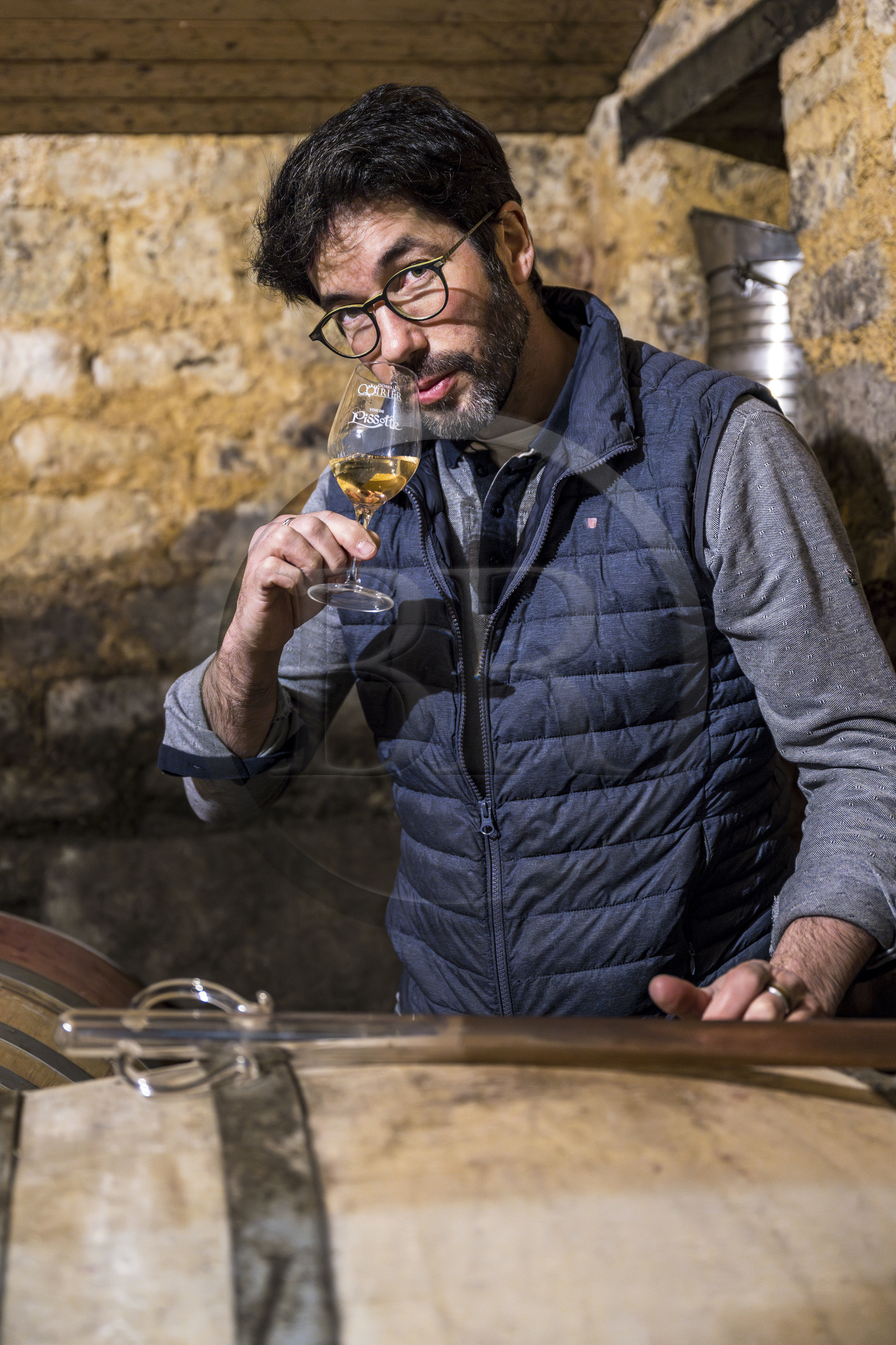 France, Vendée (85), Pissotte, le vigneron Mathieu Coirier produit du vin AOC fief vendéen certifié bio