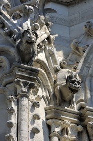 France, Paris (75), île de la Cité, la cathédrale Notre-Dame