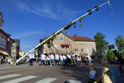 Sweden, Dalarna County, the  most popular in Sweden Leksand midsummer celebrations, uprising the maypole