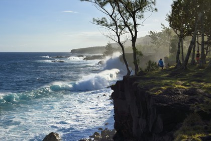 France, Reunion island (French overseas department), South coast, Sainte Philippe, the wild south coast at the Baril