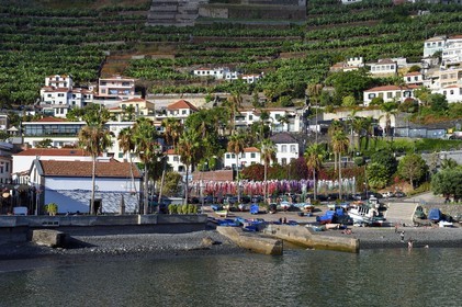 Portugal, Madeira Island, port of the fishing village of Camara de Lobos