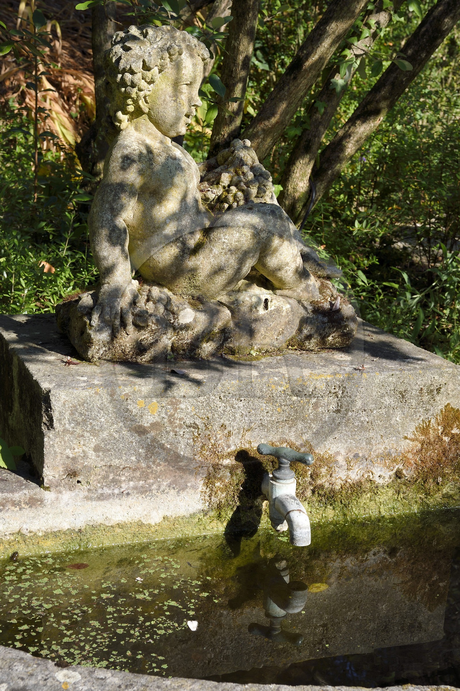 France, Alpes-Maritimes (06), Menton, Jardin Serre de la Madone, petite fontaine
