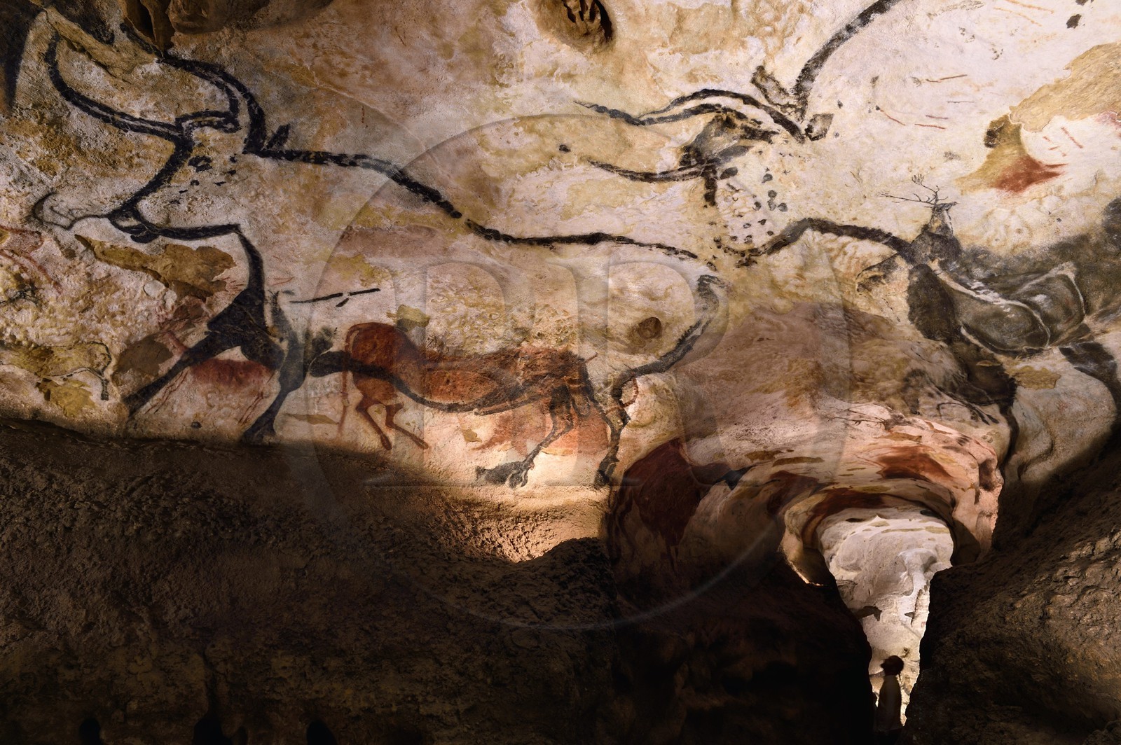 France, Dordogne (24), Périgord Noir, vallée de la Vezère, Montignac-sur-Vézère, Grotte de Lascaux II, reconstitution du site préhistorique et grotte ornée classés Patrimoine Mondial de l'UNESCO, Aurochs Chevaux et Cerfs