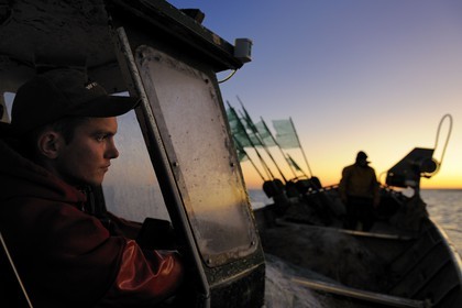 France, Seine-Maritime, off the coast of Veules-les-Roses at dawn, net fishing on the boat La Pomme owned by Anthony Paumier the youngest fishing master (22 years) in France at the time, Anthony died in the sinking of his boat in May 2012 with his father Didier