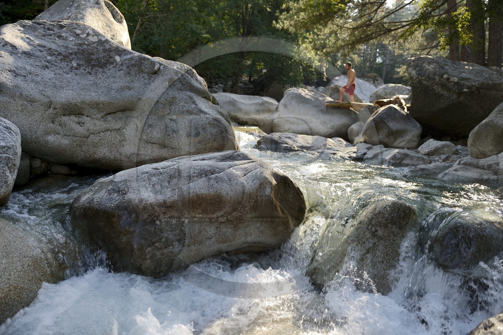 France, Haute-Corse (2B), Corte, Vallée de la Restonica