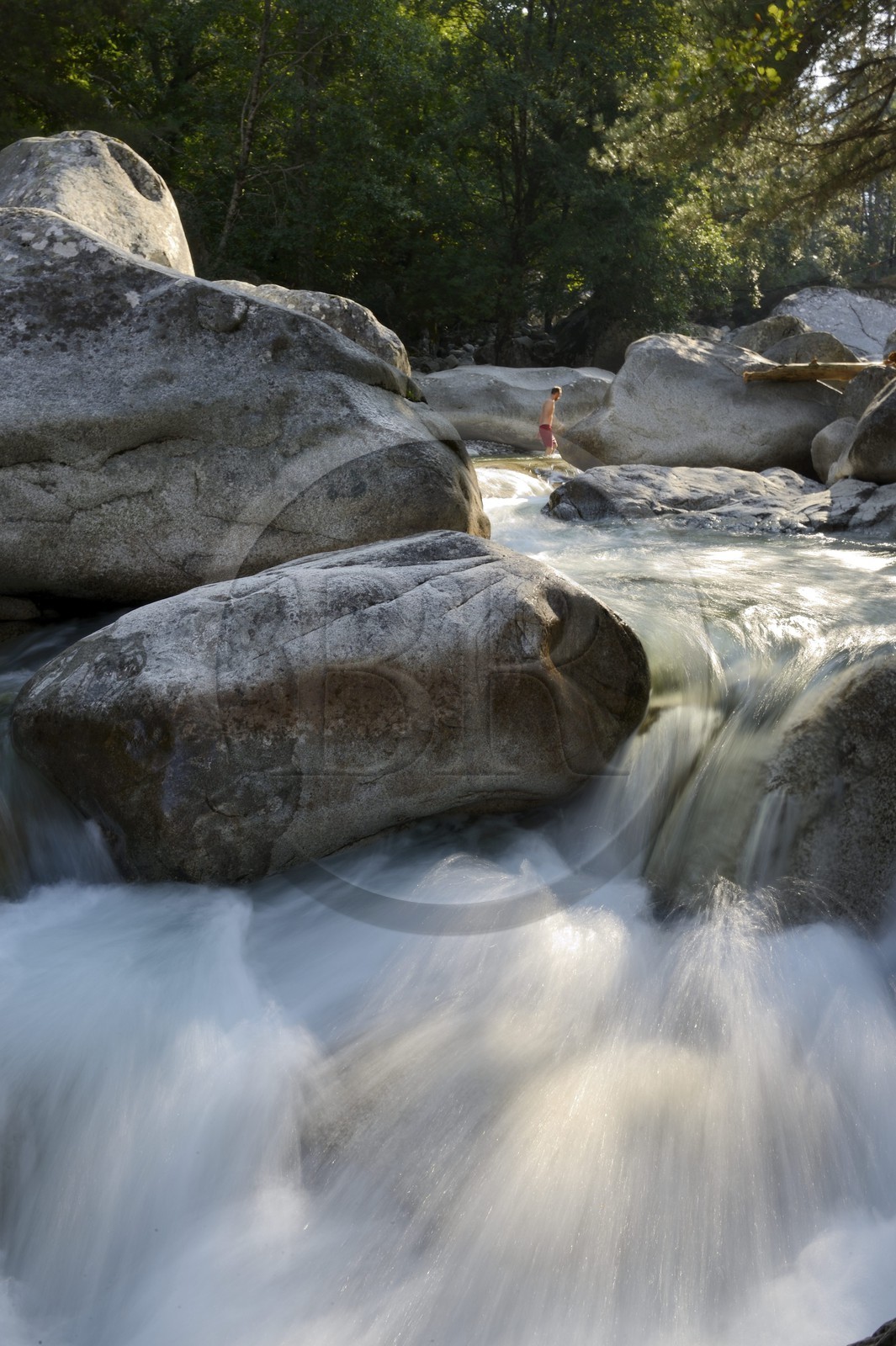 France, Haute-Corse (2B), Corte, Vallée de la Restonica