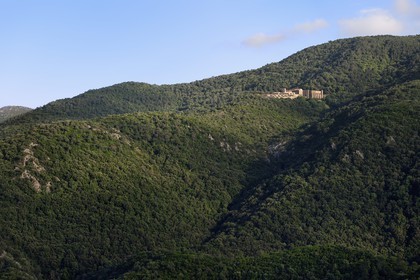 France, Var, Massif des Maures, Collobrieres, chartreuse de la Verne