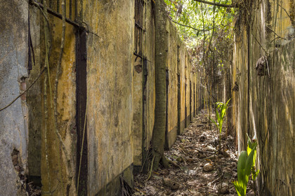 France, French Guiana, Kourou, Salvation Islands (Iles du Salut), Saint Joseph Island, ruin of the penal colony dedicated to the seclusion of the most difficult prisoners