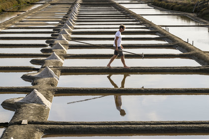 France, Vendee, Les Sables d'Olonne, the Salt Marshes of L'Ile d'Olonne, salt worker Damien Merceron harvesting salt in the Salorge de la Vertonne