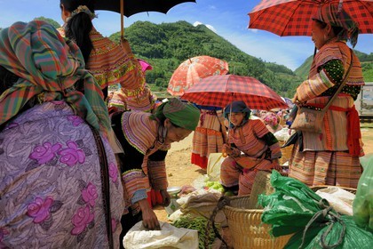 Vietnam, province de Lao Cai, région de Bac Ha, marché de Can Cau, femmes de la minorité Hmong Fleur