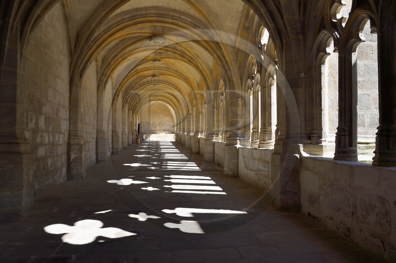 France, Haute-Loire (43), Parc naturel régional Livradois-Forez, abbaye de La Chaise-Dieu, le cloitre accolé à l'église abbatiale