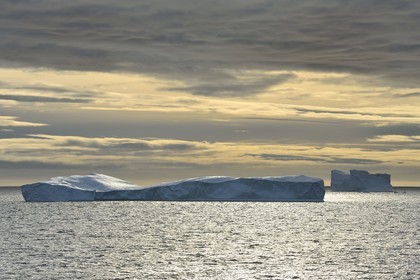 Groenland, cote ouest, baie de Baffin, Baie de North Star, icebergs à l'embouchure du fjord Wolstenholme
