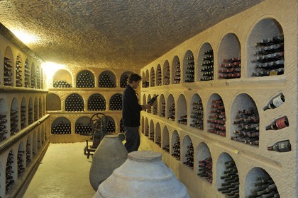 Turkey, Central Anatolia, Nevsehir Province, Cappadocia listed as World Heritage by UNESCO, Urgup, troglodytic cellars of Turasan wine producer