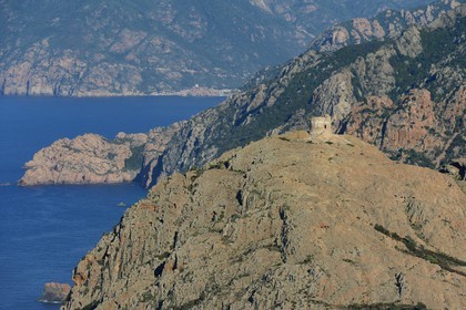 France, Corse du Sud, Golfe de Porto, listed as World Heritage by UNESCO, the Capo Rosso and the Genovese Tower of Turghiu (Turghio) in the background (aerial view)