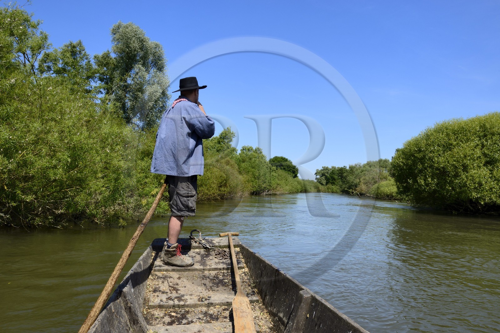 France, Bas-Rhin (67), région d'Ebersmunster et Muttersholtz, le Grand Ried, le batelier Patrick Unterstock dans une barque à fond plat en bois sur la rivière l'Ill