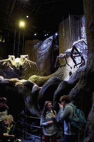 Royaume-Uni, Hertfordshire, Leavesden, Leavesden Film Studios, Harry Potter Studio Tour London, les coulisses du tournage des 8 films de Harry Potter, les araignées géantes Aragog dans la mythique Forêt Interdite