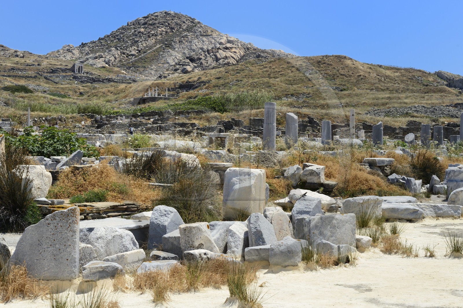 Grèce, île de Delos, classée Patrimoine Mondial de l'UNESCO, site archéologique de Délos, sanctuaire d'Apollon, la plus grande cité antique de la mer Egée, vestiges du quartier du port