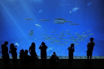 Etats-Unis, Californie, Monterey, le Monterey Bay Aquarium dans Cannery Row