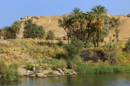 Egypt, Upper Egypt, Nile Valley, the Nile river between Edfou and Kom Ombo