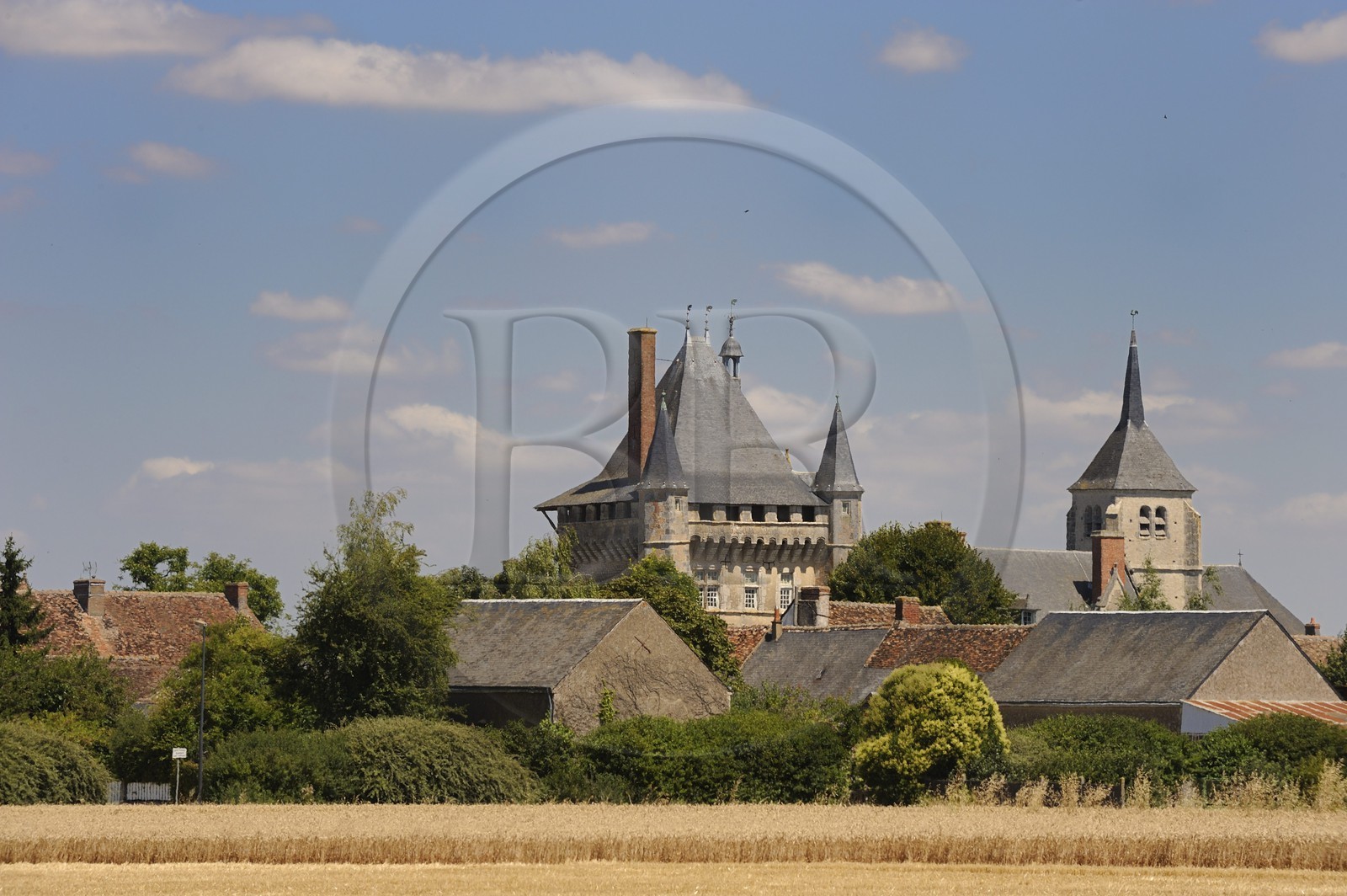 France, Loir-et-Cher (41), château de Talcy