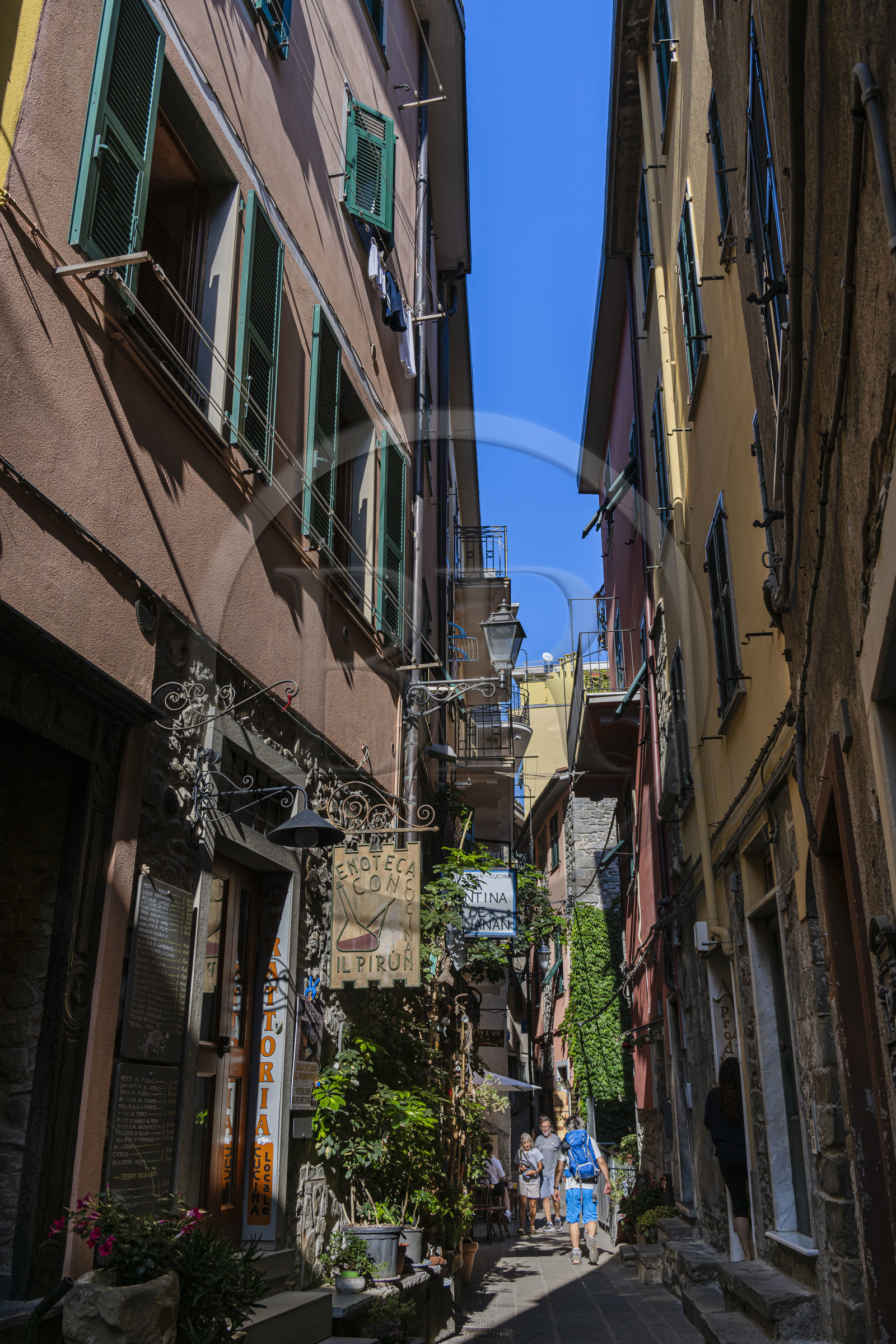 Italie, Ligurie, Cinque Terre, parc national des Cinque Terre classé Patrimoine Mondial de l'UNESCO, ruelle étroite via Solferino dans le village de  Corniglia